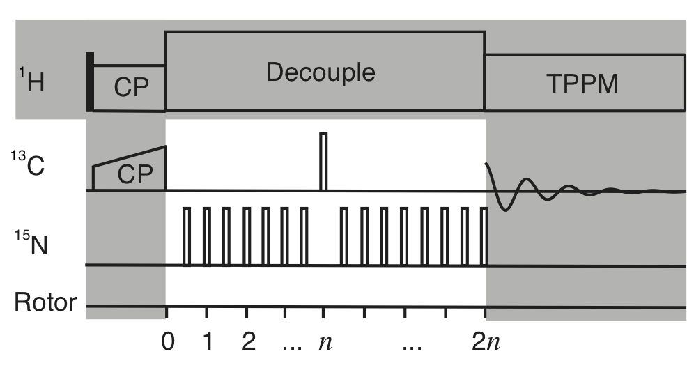 REDOR Pulse Sequence